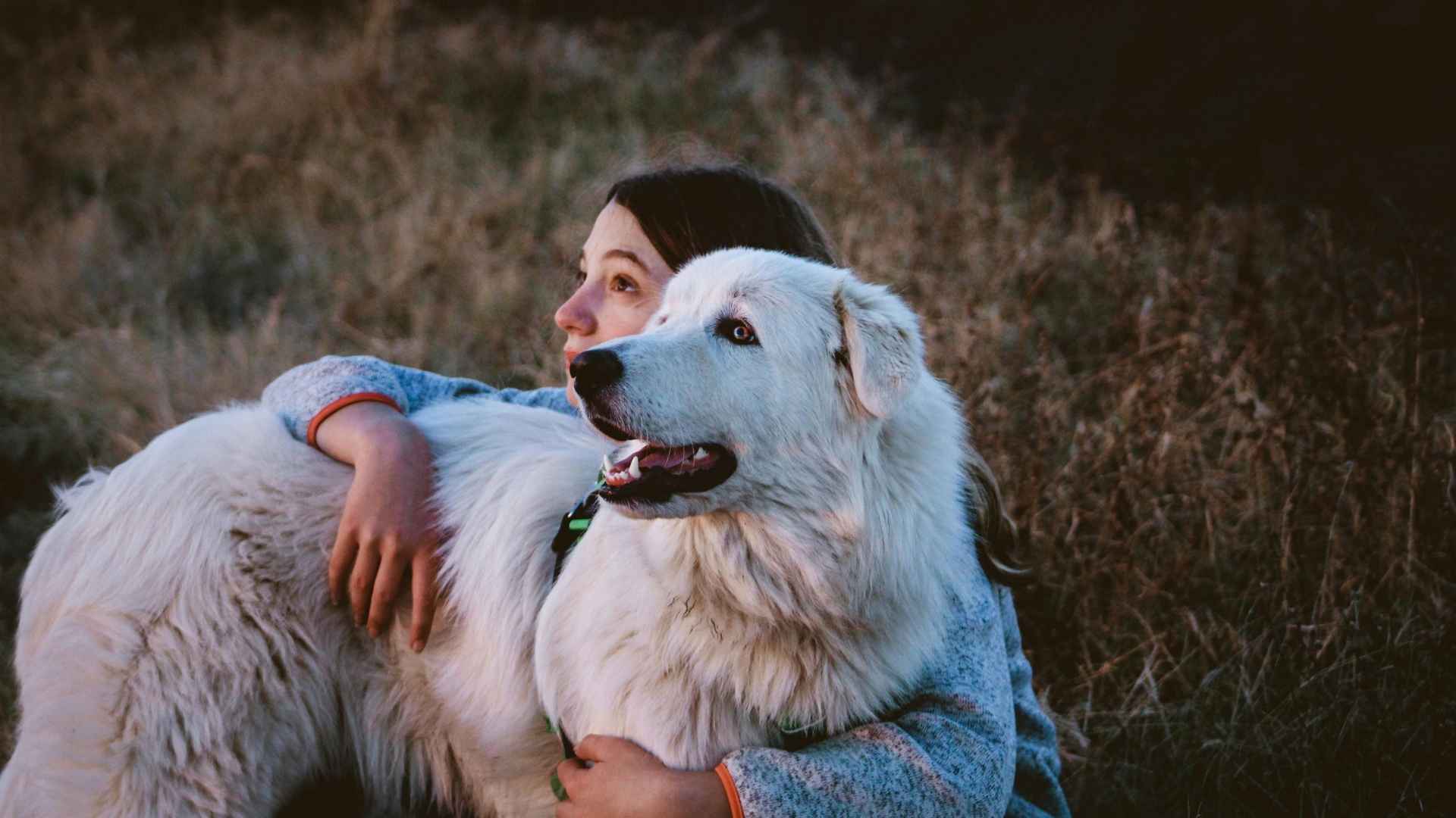chica abrazando a perrito